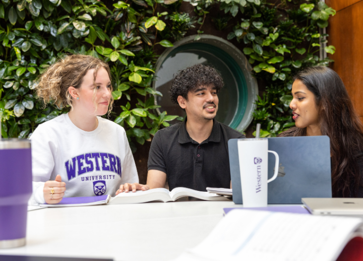 Three students working at a laptop in front of a green plant wall